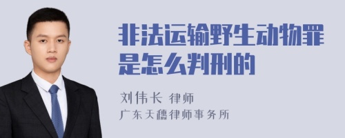 非法运输野生动物罪是怎么判刑的