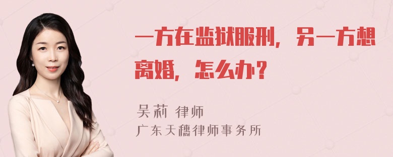 一方在监狱服刑，另一方想离婚，怎么办？