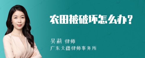 农田被破坏怎么办？