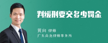 判缓刑要交多少罚金