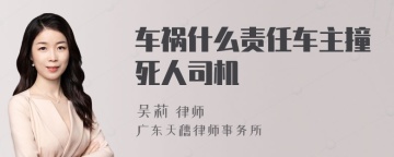 车祸什么责任车主撞死人司机