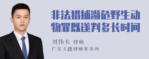 非法猎捕濒危野生动物罪既遂判多长时间