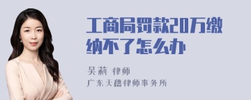 工商局罚款20万缴纳不了怎么办