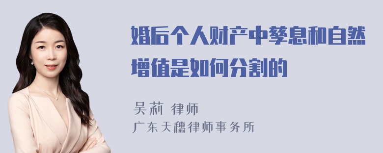 婚后个人财产中孳息和自然增值是如何分割的