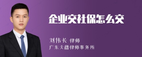 企业交社保怎么交