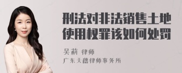 刑法对非法销售土地使用权罪该如何处罚