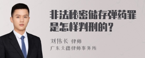 非法秘密储存弹药罪是怎样判刑的？