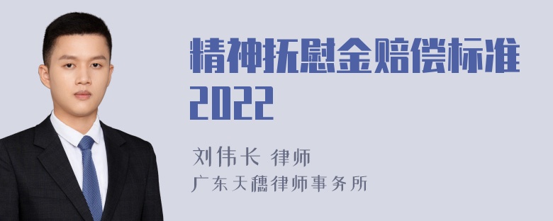 精神抚慰金赔偿标准2022