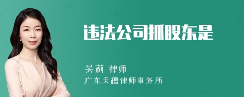 违法公司抓股东是