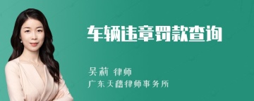 车辆违章罚款查询