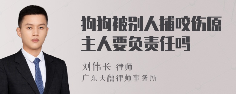 狗狗被别人捕咬伤原主人要负责任吗