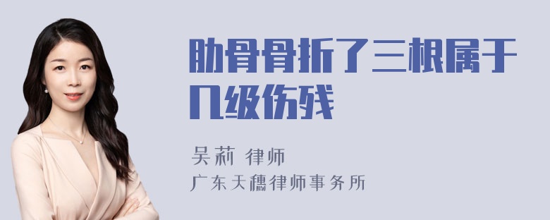 肋骨骨折了三根属于几级伤残