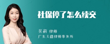 社保停了怎么续交