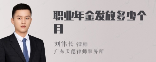 职业年金发放多少个月