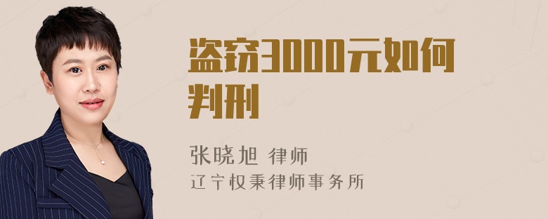 盗窃3000元如何判刑