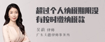 超过个人纳税期限没有按时缴纳税款