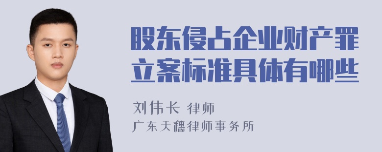 股东侵占企业财产罪立案标准具体有哪些