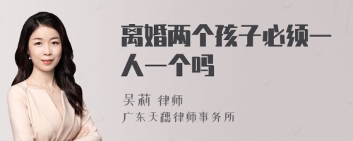 离婚两个孩子必须一人一个吗