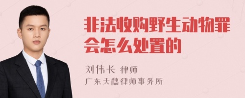 非法收购野生动物罪会怎么处置的