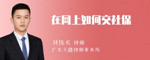 在网上如何交社保