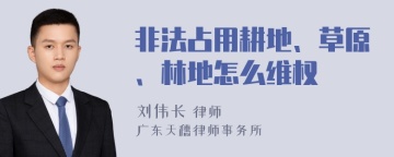 非法占用耕地、草原、林地怎么维权