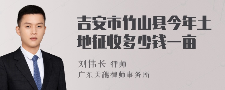 吉安市竹山县今年土地征收多少钱一亩