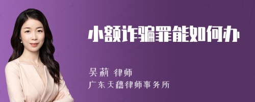 小额诈骗罪能如何办