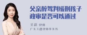 父亲醉驾判缓刑孩子政审是否可以通过