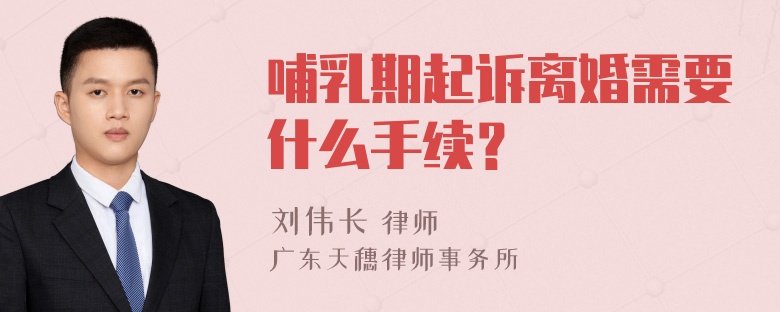 哺乳期起诉离婚需要什么手续？