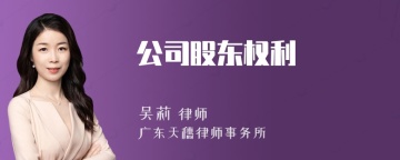 公司股东权利