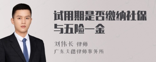 试用期是否缴纳社保与五险一金