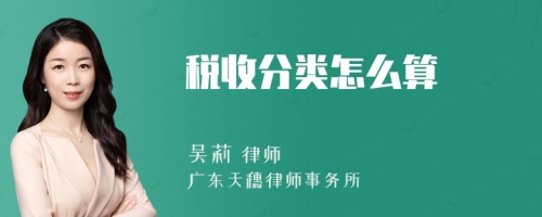 税收分类怎么算