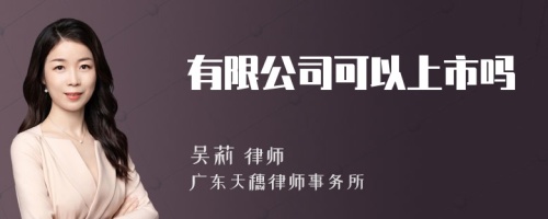 有限公司可以上市吗