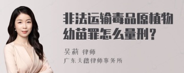 非法运输毒品原植物幼苗罪怎么量刑？