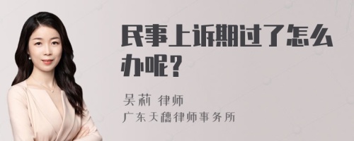 民事上诉期过了怎么办呢？