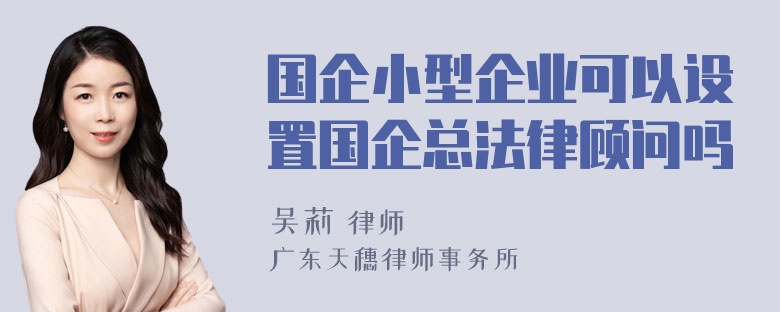 国企小型企业可以设置国企总法律顾问吗