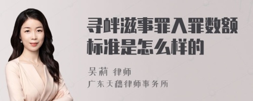 寻衅滋事罪入罪数额标准是怎么样的