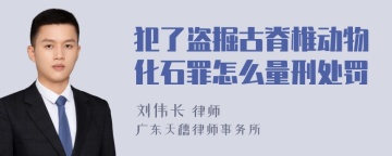 犯了盗掘古脊椎动物化石罪怎么量刑处罚