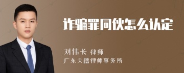 诈骗罪同伙怎么认定