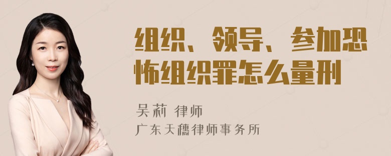 组织、领导、参加恐怖组织罪怎么量刑