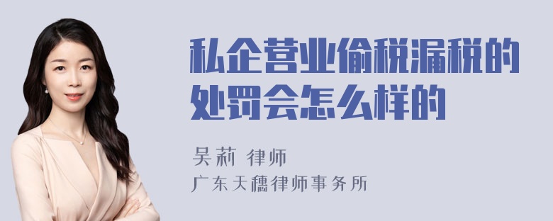 私企营业偷税漏税的处罚会怎么样的