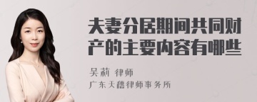 夫妻分居期间共同财产的主要内容有哪些