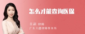 怎么才能查询医保