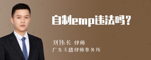 自制emp违法吗？