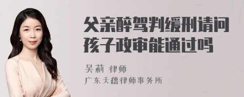 父亲醉驾判缓刑请问孩子政审能通过吗