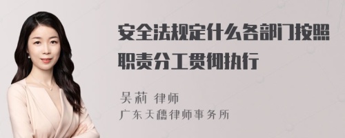 安全法规定什么各部门按照职责分工贯彻执行