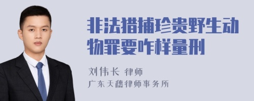 非法猎捕珍贵野生动物罪要咋样量刑