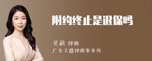 附约终止是退保吗