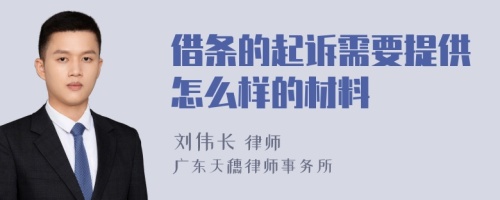 借条的起诉需要提供怎么样的材料