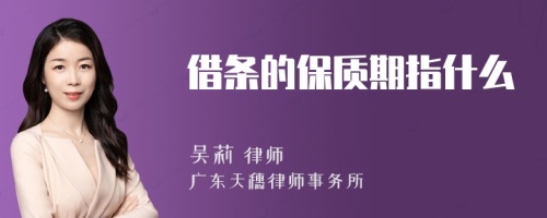 借条的保质期指什么